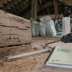 Termite bois charpente : diagnostic et signes d’attaque dans une poutre